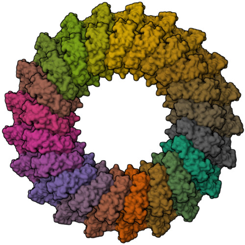 RCSB PDB - 8B6W: Mpf2Ba1 Pore