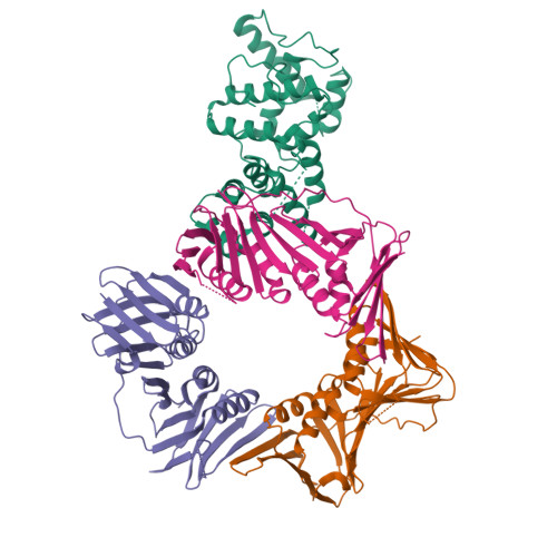 RCSB PDB - 8B8T: Open Conformation Of The Complex Of DNA Ligase I On ...