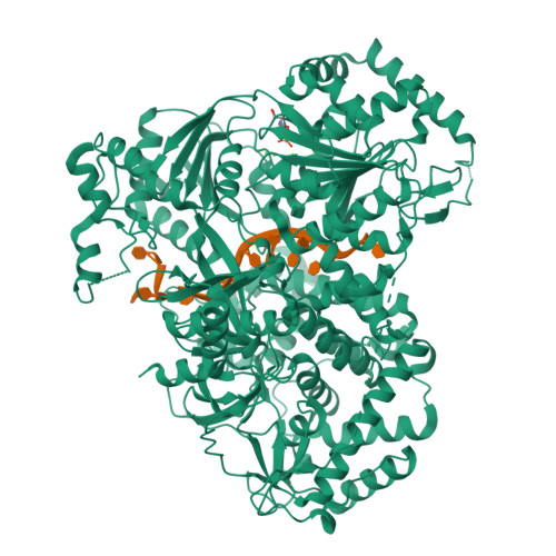 RCSB PDB - 8B9I: Cryo-EM Structure Of MLE In Complex With ADP:AlF4 And ...