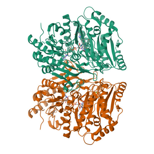 RCSB PDB - 8BAP: Eugenol Oxidase (EUGO) from Rhodococcus jostii