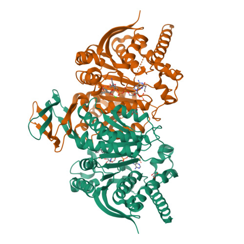 Rcsb Pdb Bay Crystal Structure Of Idh Variant R C S F In