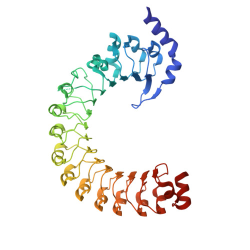 RCSB PDB - 8BEN: LRR Domain Structure Of The LRRC8C Protein