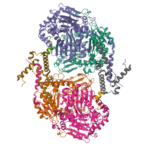 RCSB PDB - 8BEP: Cryo-EM Structure Of The Arabidopsis Thaliana I+III2 ...