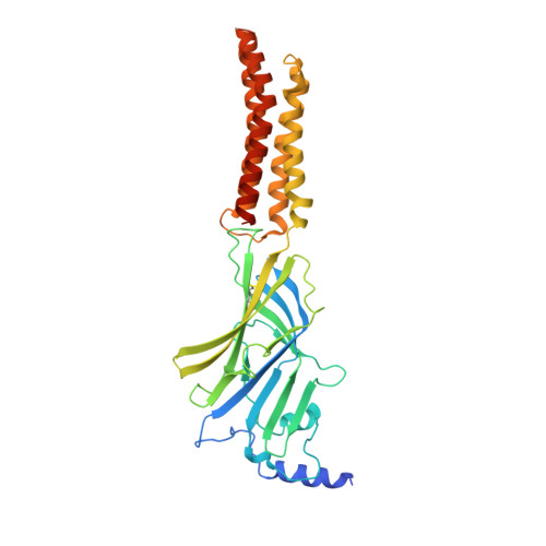 RCSB PDB - 8BHS: GABA-A receptor a5 homomer - a5V3 - RO4938581