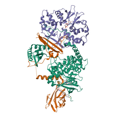 RCSB PDB - 8BIK: Crystal structure of human AMPK heterotrimer in ...