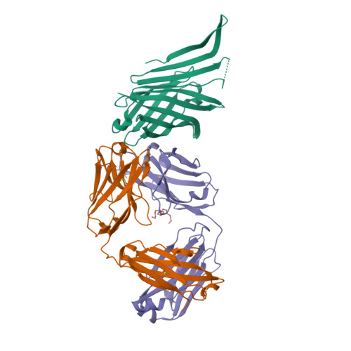 RCSB PDB - 8BK2: X-ray Structure Of Meningococcal Factor H Binding ...