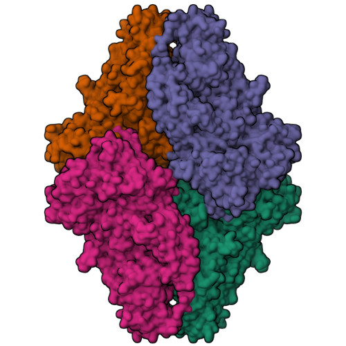 RCSB PDB - 8BK8: Cryo-EM structure of beta-galactosidase at 2.9 A ...