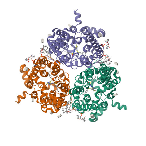 Structural characterization of human urea transporters UT-A and UT-B and  their inhibition