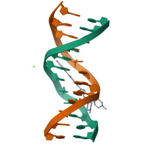 RCSB PDB 8BNA BINDING OF HOECHST 33258 TO THE MINOR GROOVE OF BDNA