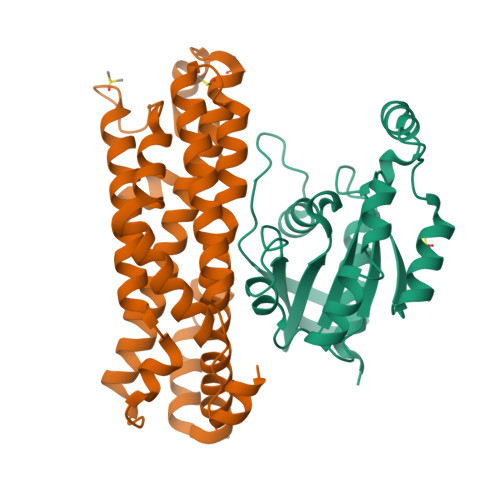 RCSB PDB - 8BNT: The DH Domain Of ARHGEF2 Bound To RhoA