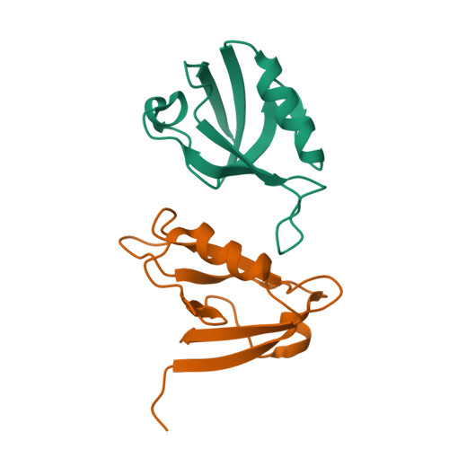 RCSB PDB - 8BP5: Crystal structure of Trichoplax Dlg PDZ1 domain