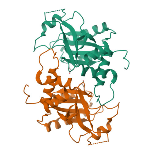Capsid scaffolding protein structure