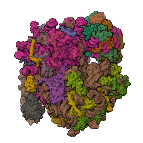 Methionine aminopeptidase 1 structure