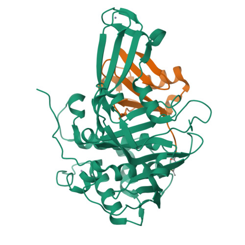 PDB 8BS3