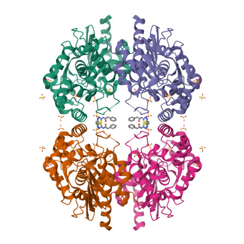 RCSB PDB - 8BSK: Human GLS in complex with compound 3