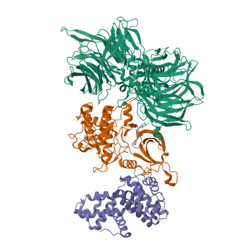 8bu5_assembly-2.jpeg