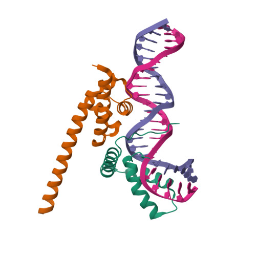 RCSB PDB - 8BX2: Oct4/Sox2 Protein:DNA Complex