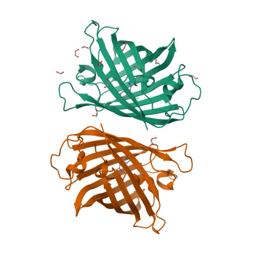 RCSB PDB - 8BXT: Structure of StayGold