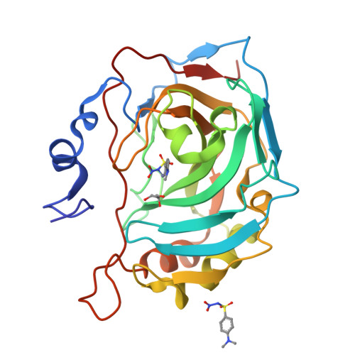 Rcsb Pdb Bzz Crystal Structure Of Carbonic Anhydrase