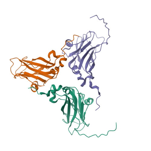 RCSB PDB - 8C38: Contracted cowpea chlorotic mottle virus
