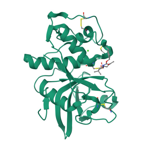 Calciumionenelektronen