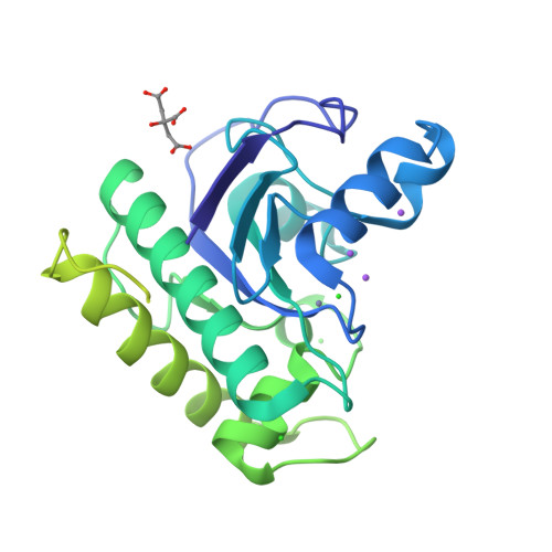 RCSB PDB - 8C4D: N-acetylmuramoyl-L-alanine amidase from