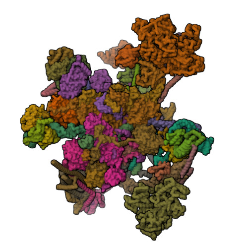 PDB 8C6J