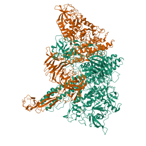 RCSB PDB - 8C8G: Cryo-EM Structure Of BoNT/Wo-NTNH Complex