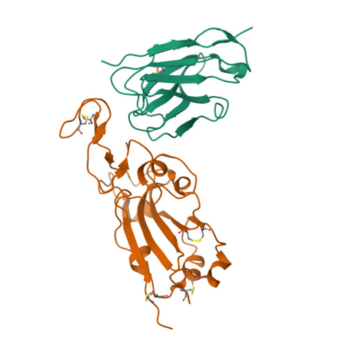RCSB PDB - 8C8P: Structure of the SARS-CoV-2 spike glycoprotein in ...