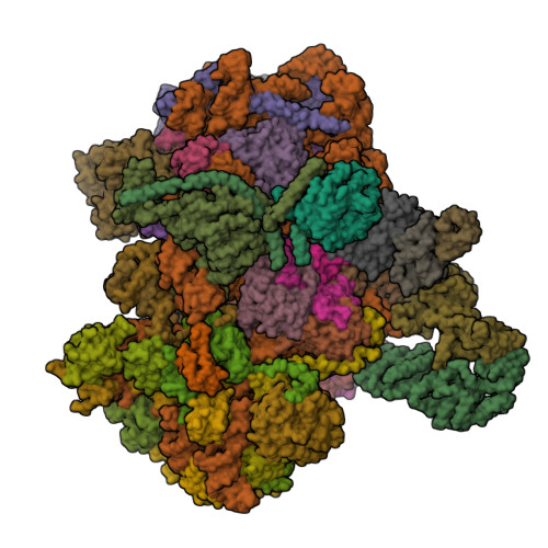 RCSB PDB - 8CAH: Cryo-EM structure of native Otu2-bound ubiquitinated ...