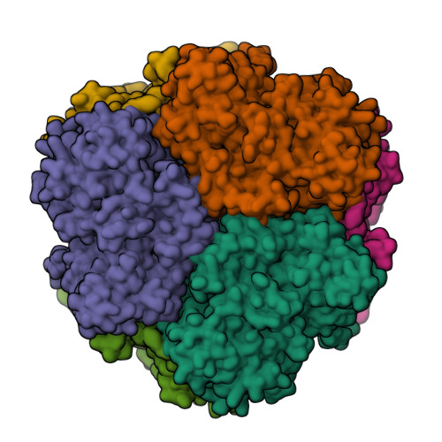 RCSB PDB - 8CAN: Cryo-EM structure of the Cora homohexamer from ...