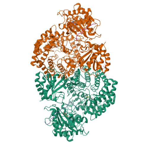 Rcsb Pdb Cav Discovery Of The Lanthipeptide Curvocidin And