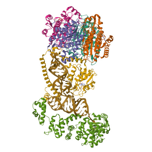 RCSB PDB - 8CBM: Structure of human mitochondrial CCA-adding enzyme in ...