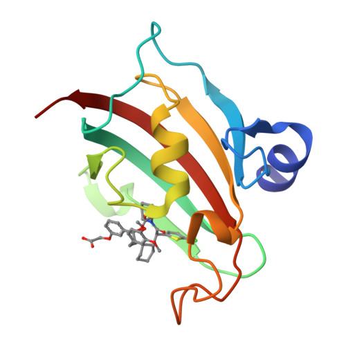 RCSB PDB - 8CCB: The Fk1 domain of FKBP51 in complex with 2-(3-((1R)-1 ...