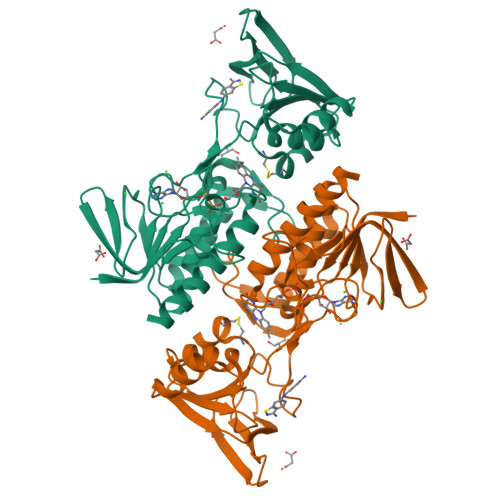 RCSB PDB - 8CCM: Crystal structure of Mycobacterium smegmatis ...