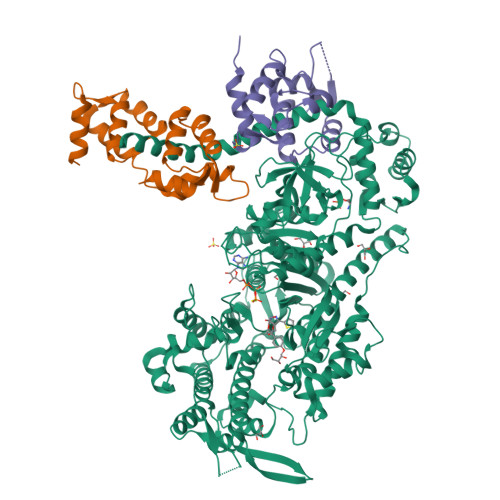 RCSB PDB 8CDQ Plasmodium falciparum Myosin A fulllength, postrigor