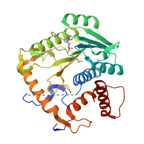 RCSB PDB - 8CEQ: Crystal structure of monkeypox virus