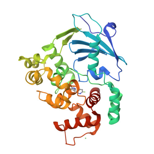 RCSB PDB - 8CEX: Structure of the mouse 8-oxoguanine DNA Glycosylase ...