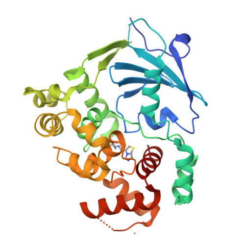 RCSB PDB - 8CEY: Structure of the mouse 8-oxoguanine DNA Glycosylase ...