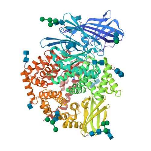 RCSB PDB - 8CGP: Insulin regulated aminopeptidase (IRAP) in complex ...