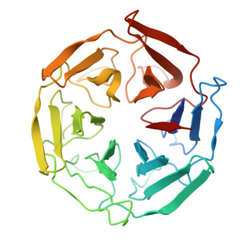 RCSB PDB - 8CIA: Crystal structure of the kelch domain of human KLHL20