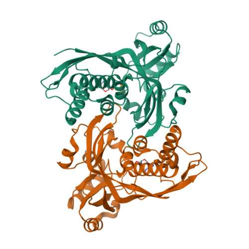 RCSB PDB - 8CKH: Crystal structure of IspE from Klebsiella pneumoniae