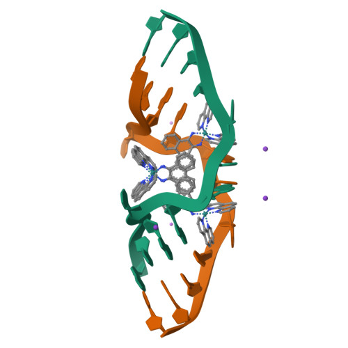 RCSB PDB - 8CMM: Re-pairing DNA - binding of a ruthenium phi complex to ...