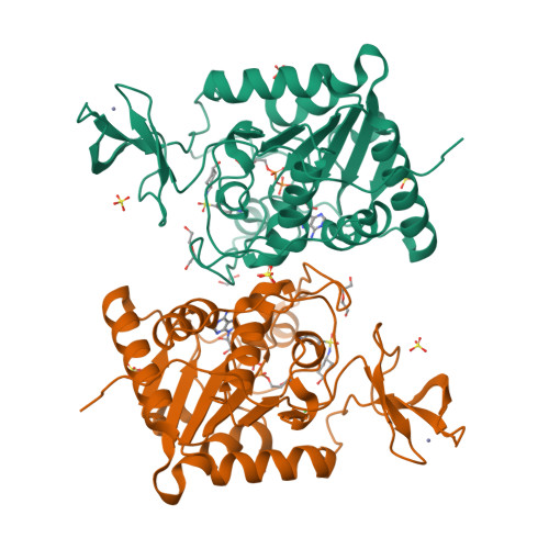 RCSB PDB - 8CNM: Human Sirt6 in complex with the inhibitor S6020 and ...