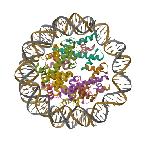 RCSB PDB - 8COM: Structure of the Nucleosome Core Particle from ...