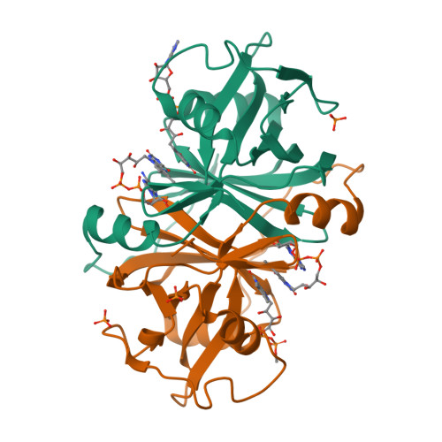 RCSB PDB - 8CT0: Crystal structure of FAD reductase CtcQ from ...