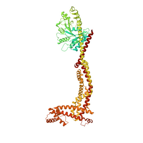 RCSB PDB - 8CT1: CryoEM structure of human S-OPA1 assembled on lipid ...