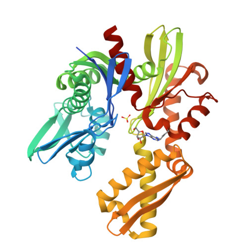 RCSB PDB - 8D1Y: Crystal structure of Plasmodium falciparum GRP78 in ...