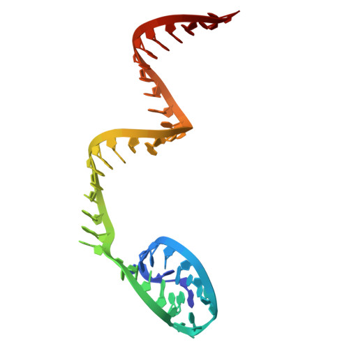 RCSB PDB - 8D4B: Structure Of Cas12a2 Ternary Complex