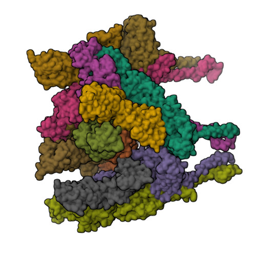 RCSB PDB - 8DAN: CryoEM structure of Western equine encephalitis virus ...